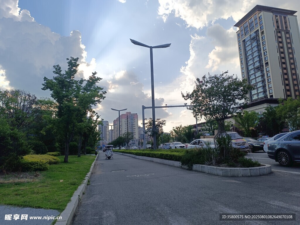 城市道路旁的建筑与绿化