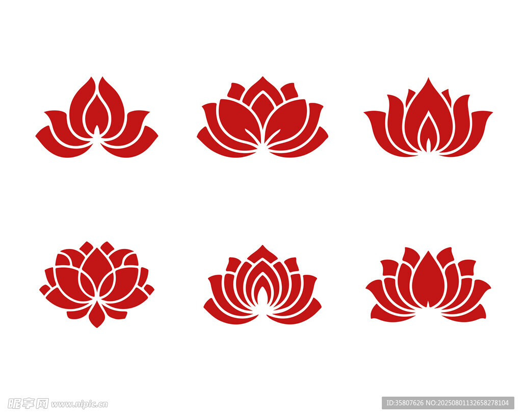 荷花图案