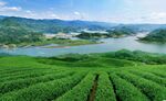 湖光山水 栖凤湖