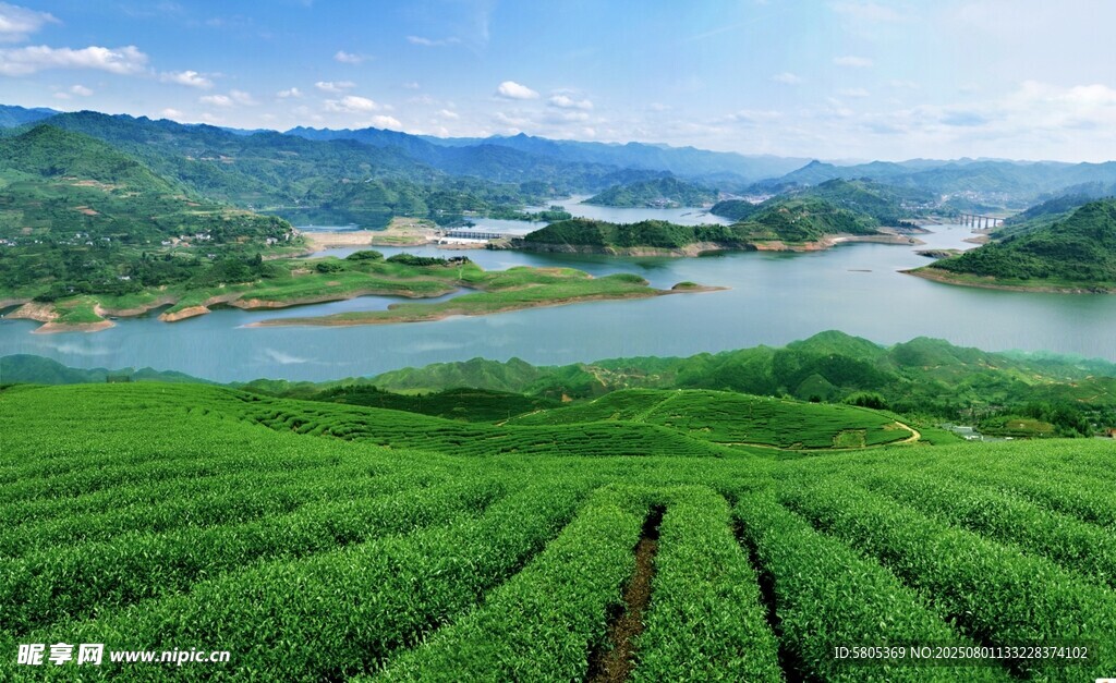 湖光山水 栖凤湖