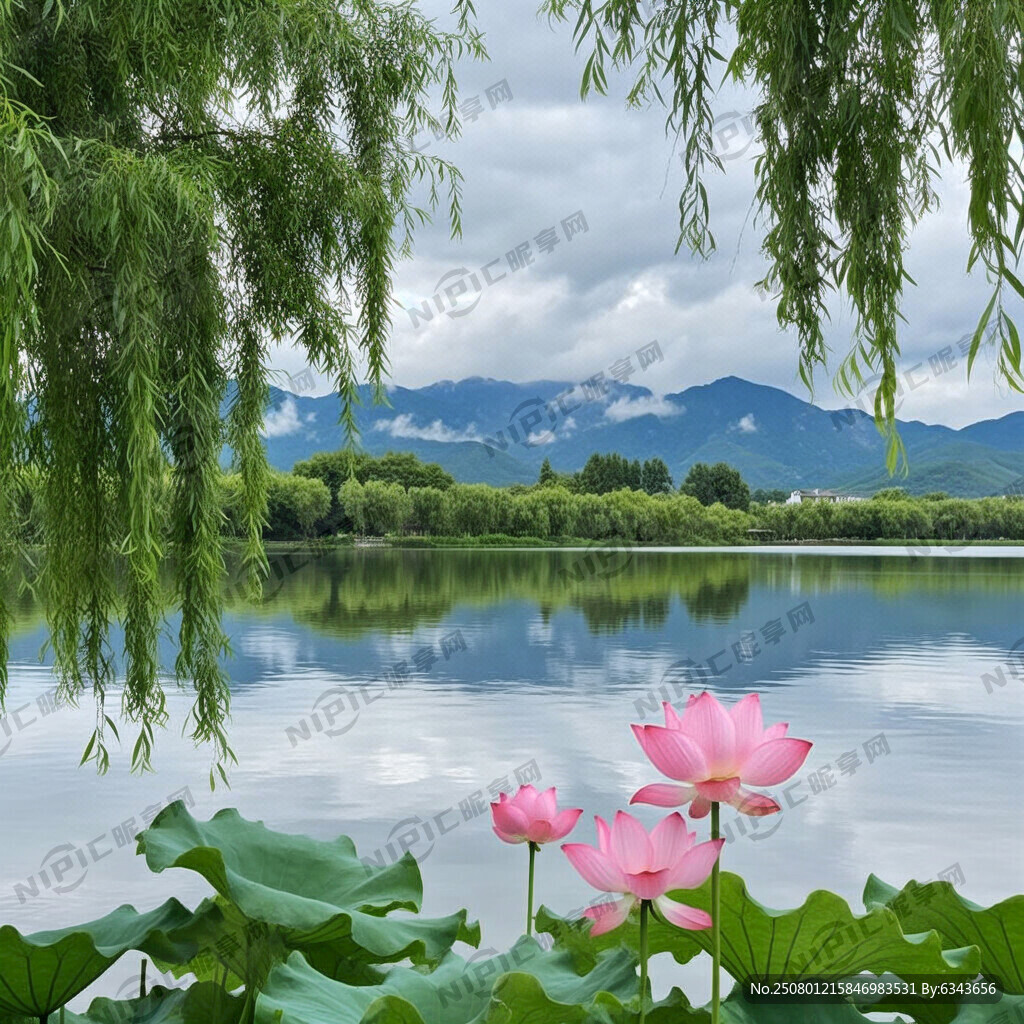 荷花垂柳映山水图画