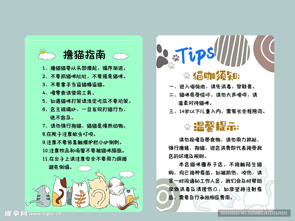 宠物