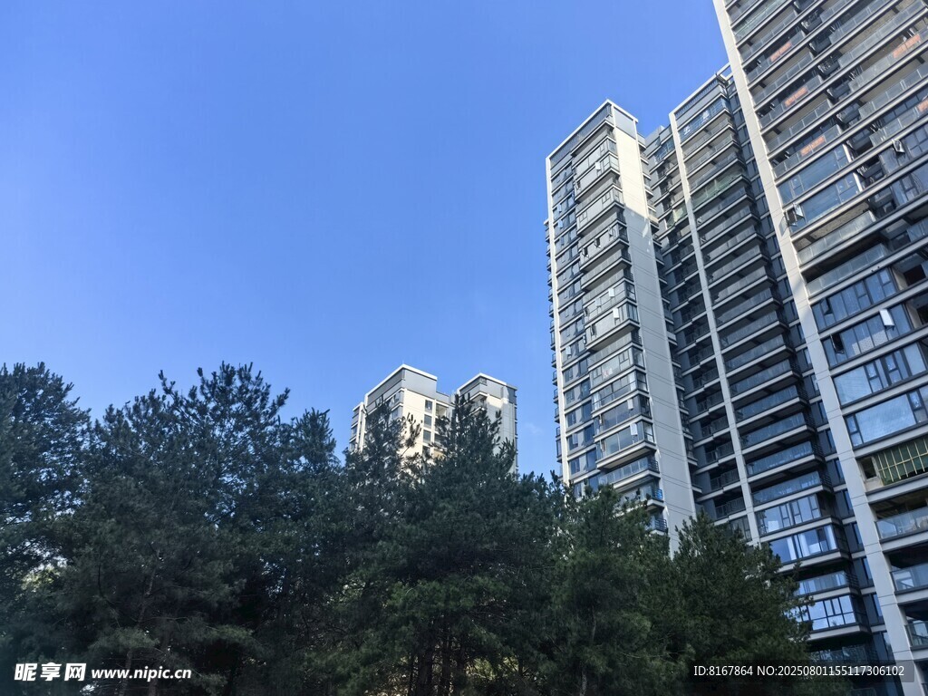 高楼林立间的葱郁树木