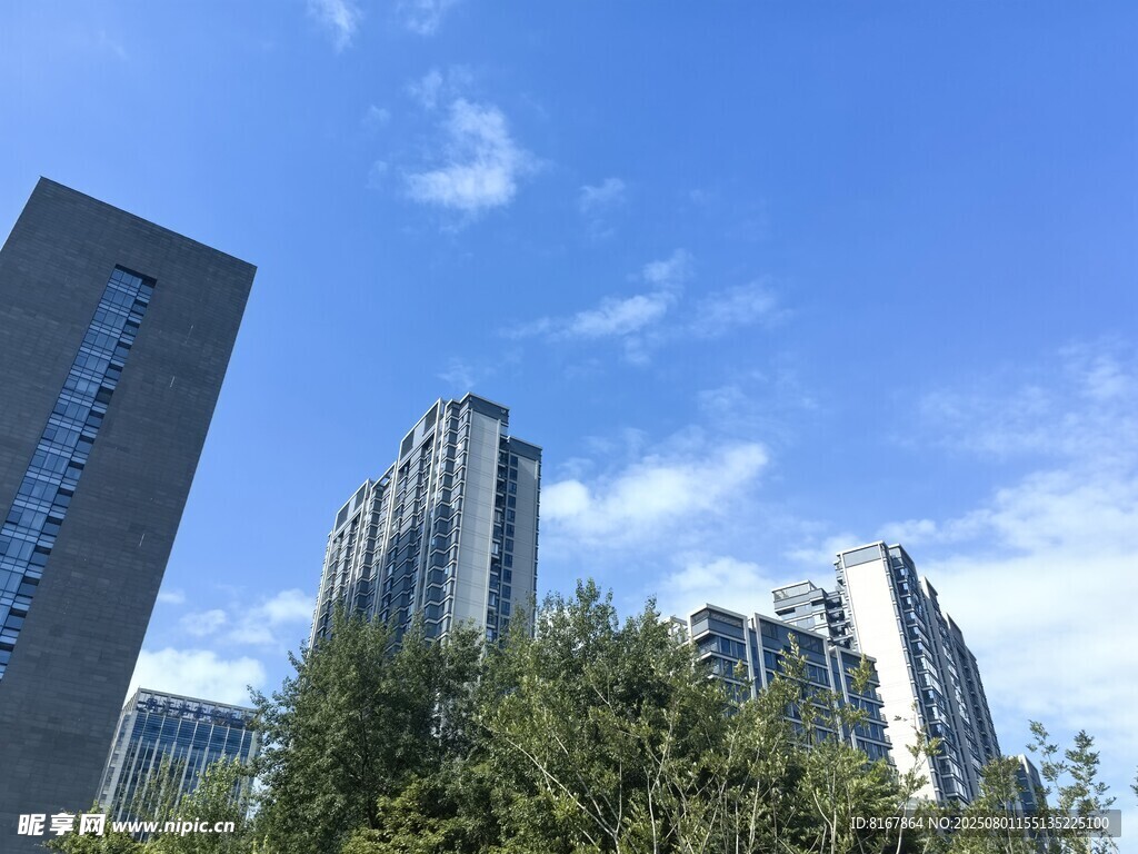 城市高楼与蓝天绿树景观