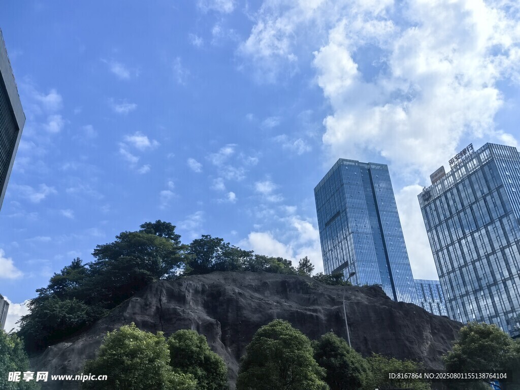 城市中的绿植与高楼景观