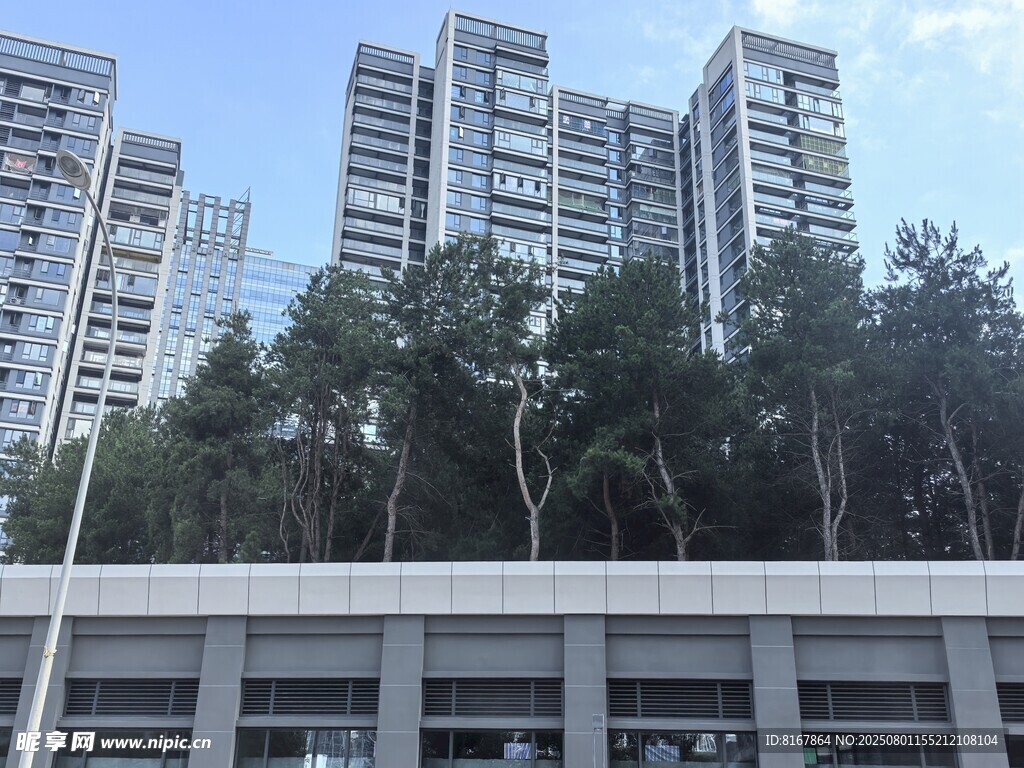城市高楼与绿树景观