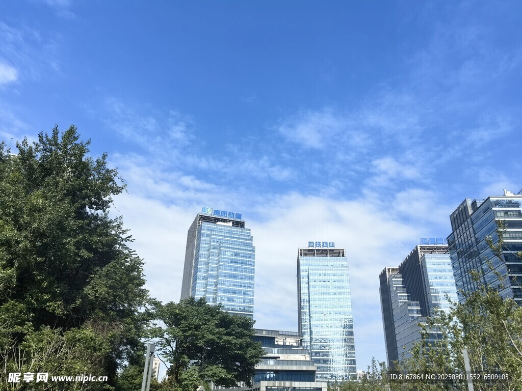 城市高楼与绿树相映成景