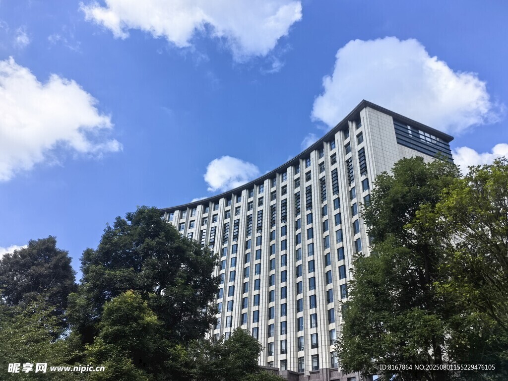 高楼矗立在绿树蓝天间