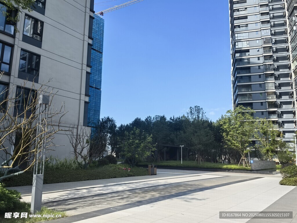 城市中的开阔街道与高楼