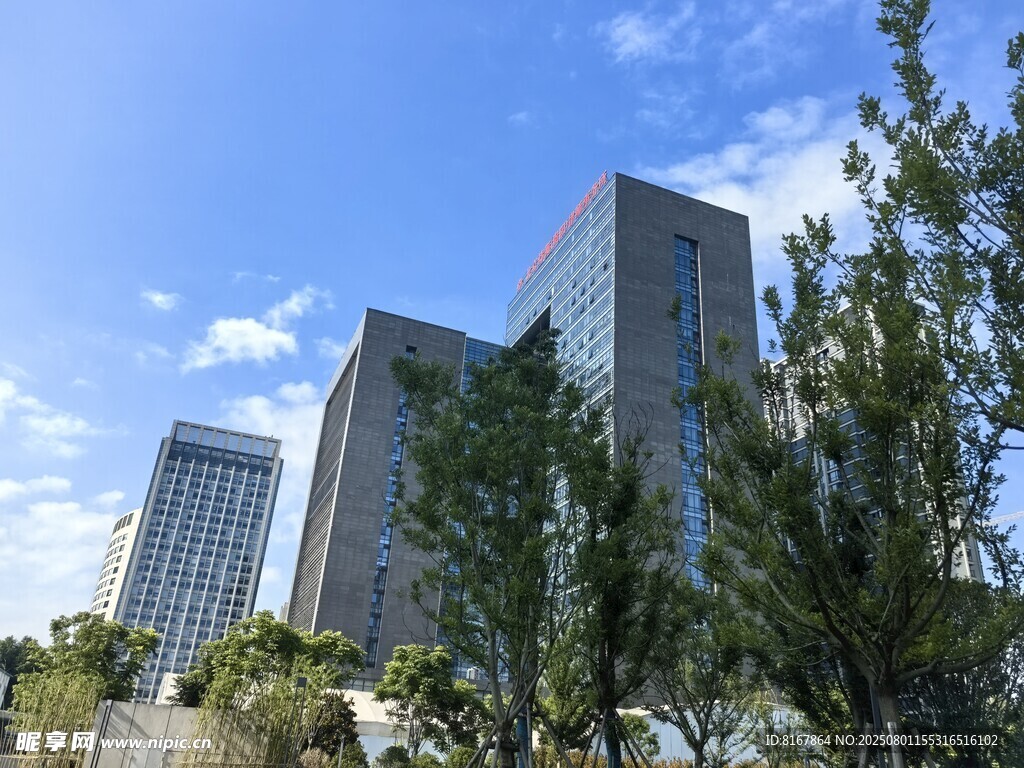 城市中的现代高楼与绿树