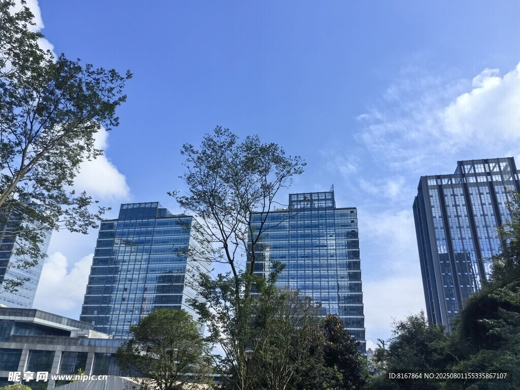 城市中林立的现代高楼