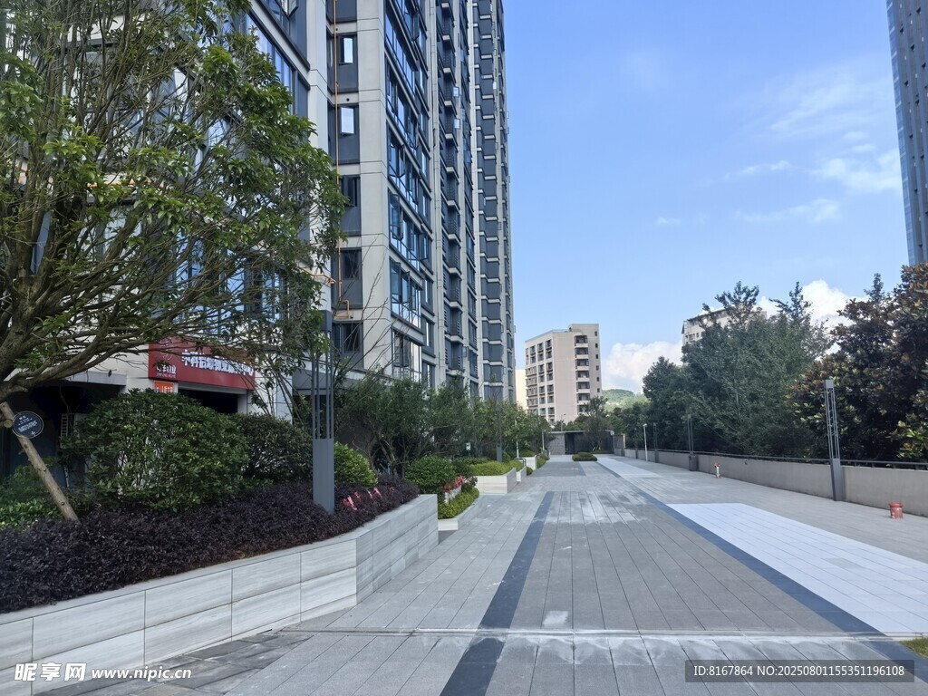 城市中整洁的林荫街道