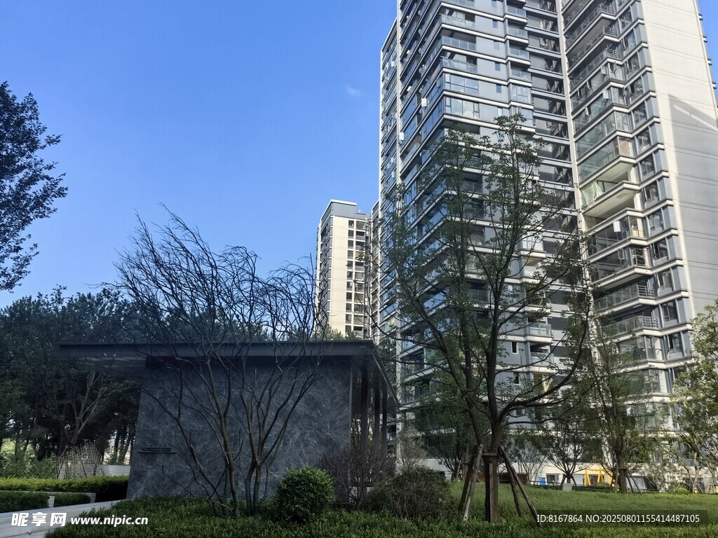 现代高楼旁的静谧景致