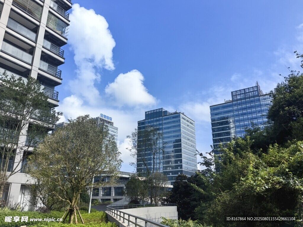 城市中的现代建筑与绿植
