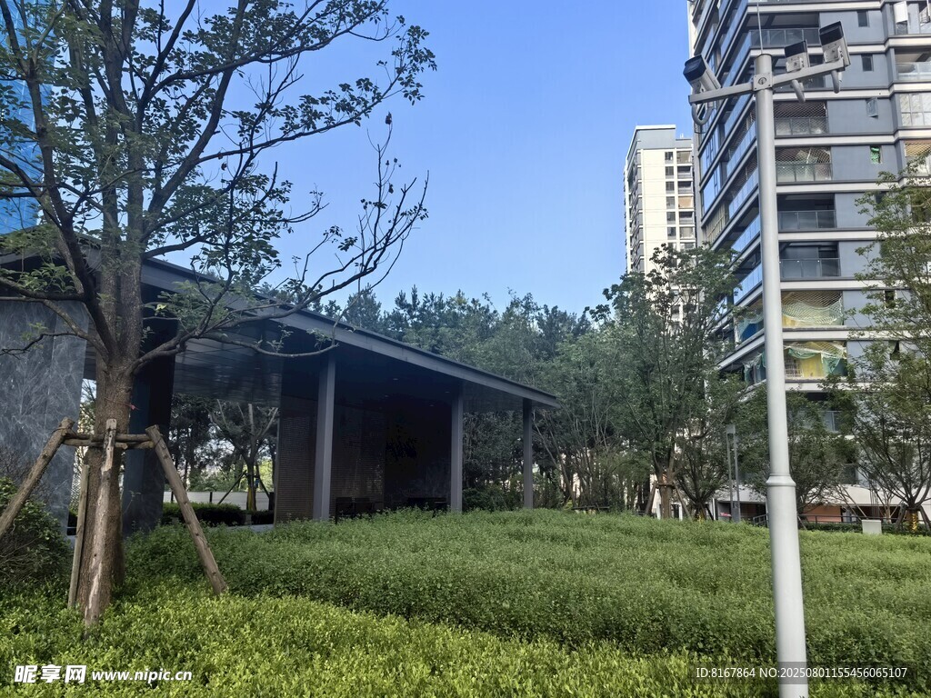 城市中的静谧绿化景观