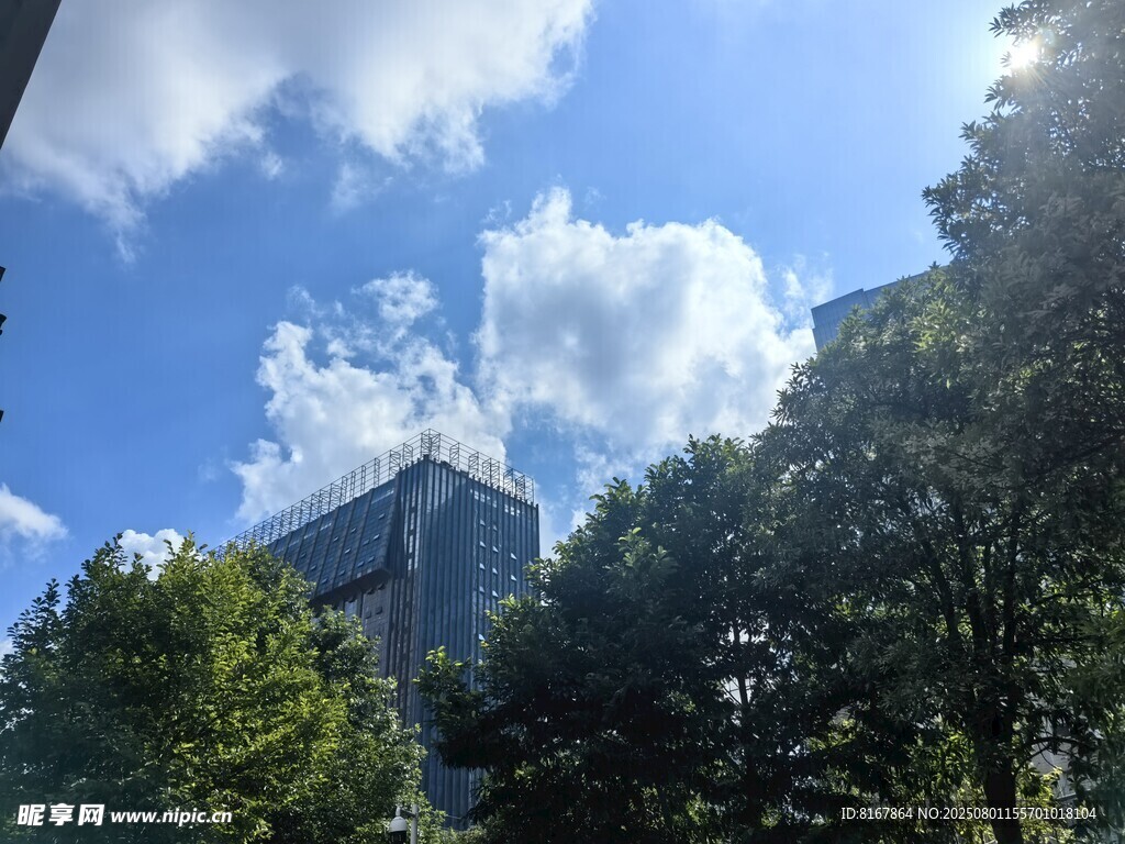 蓝天绿树间的高楼景观