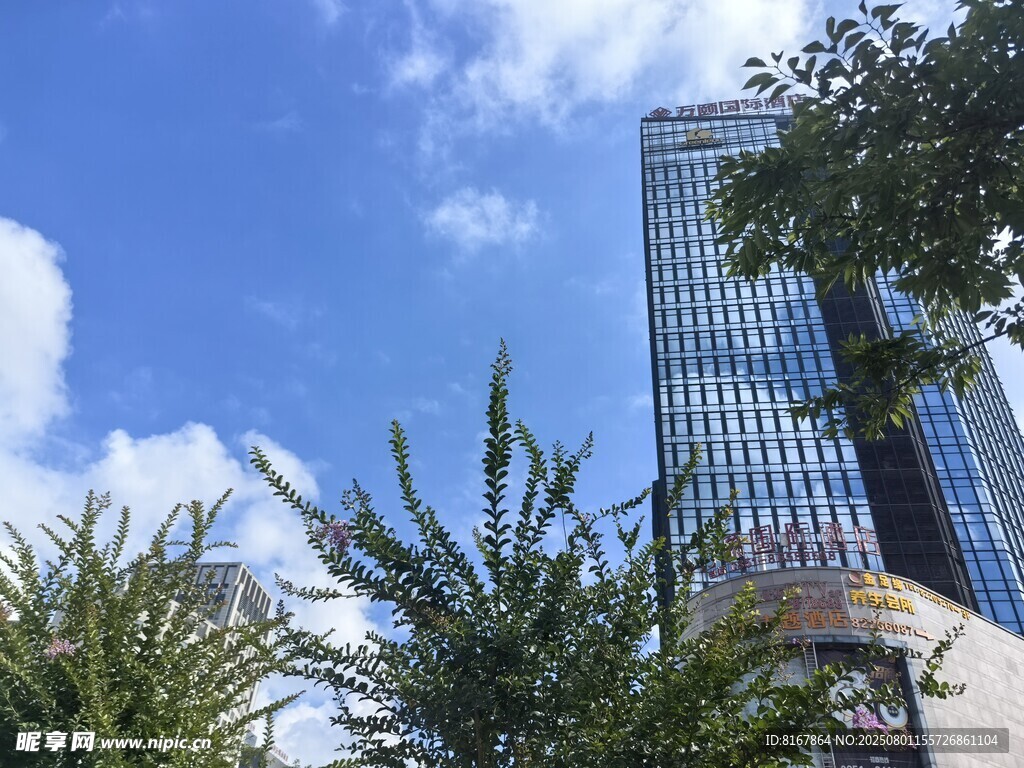 城市高楼与绿植相映成趣