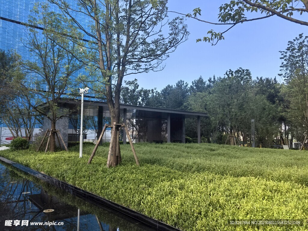 湖畔绿地旁的静谧建筑