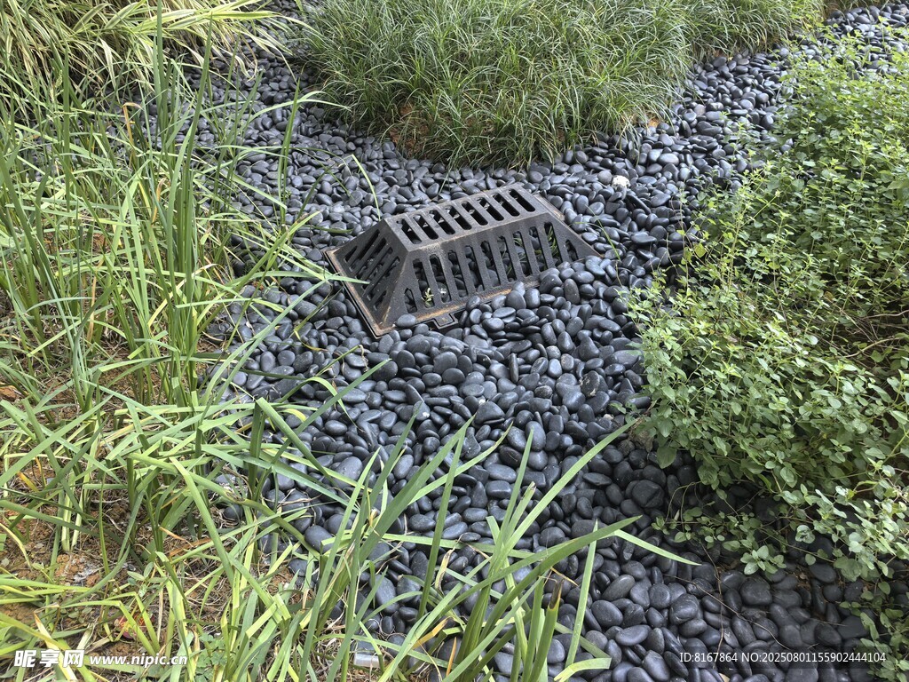 草地中的金属格栅排水装置
