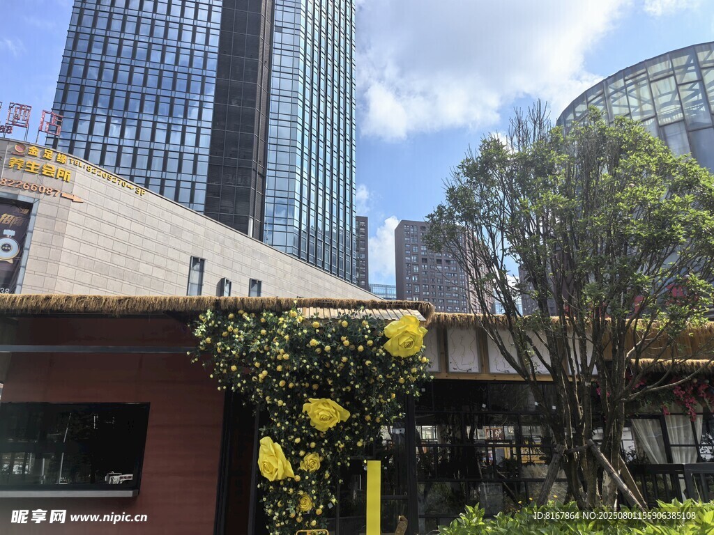 城市街边绿植装饰的建筑