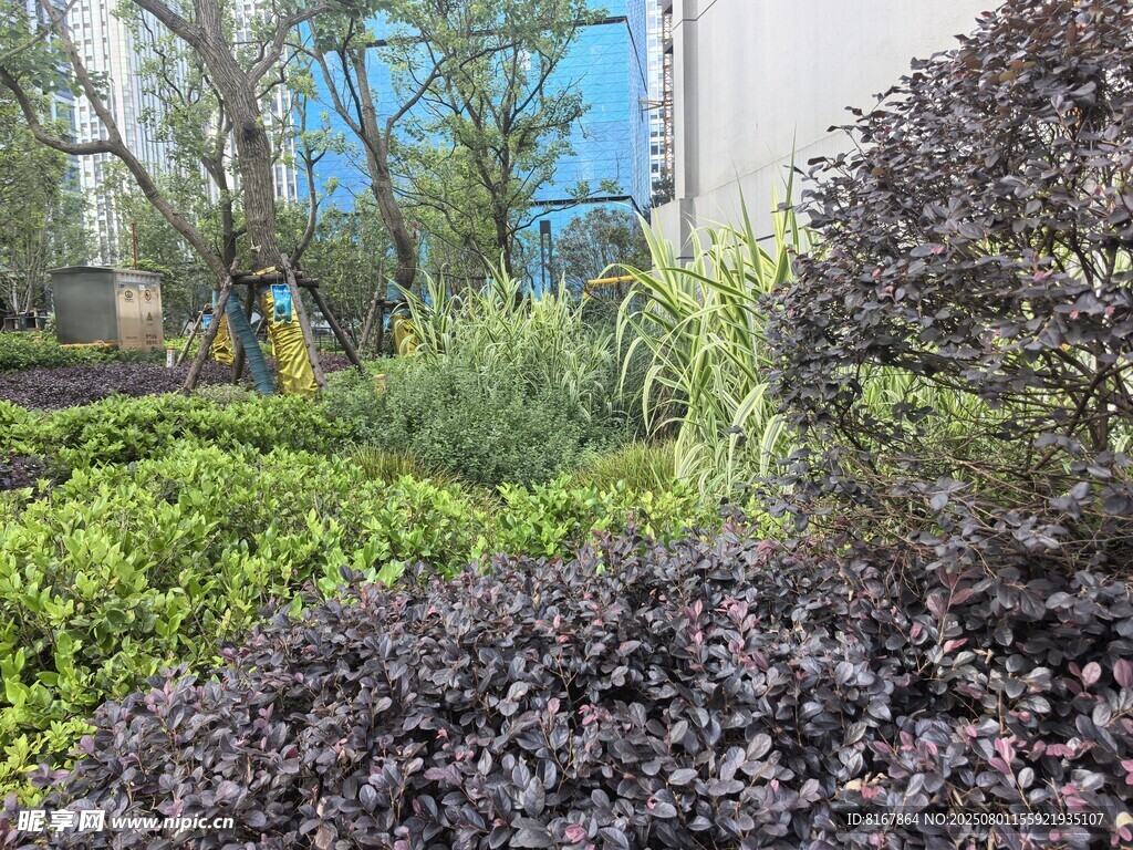 城市绿植景观一角