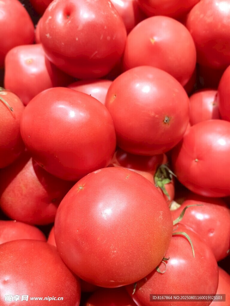 新鲜饱满的红番茄