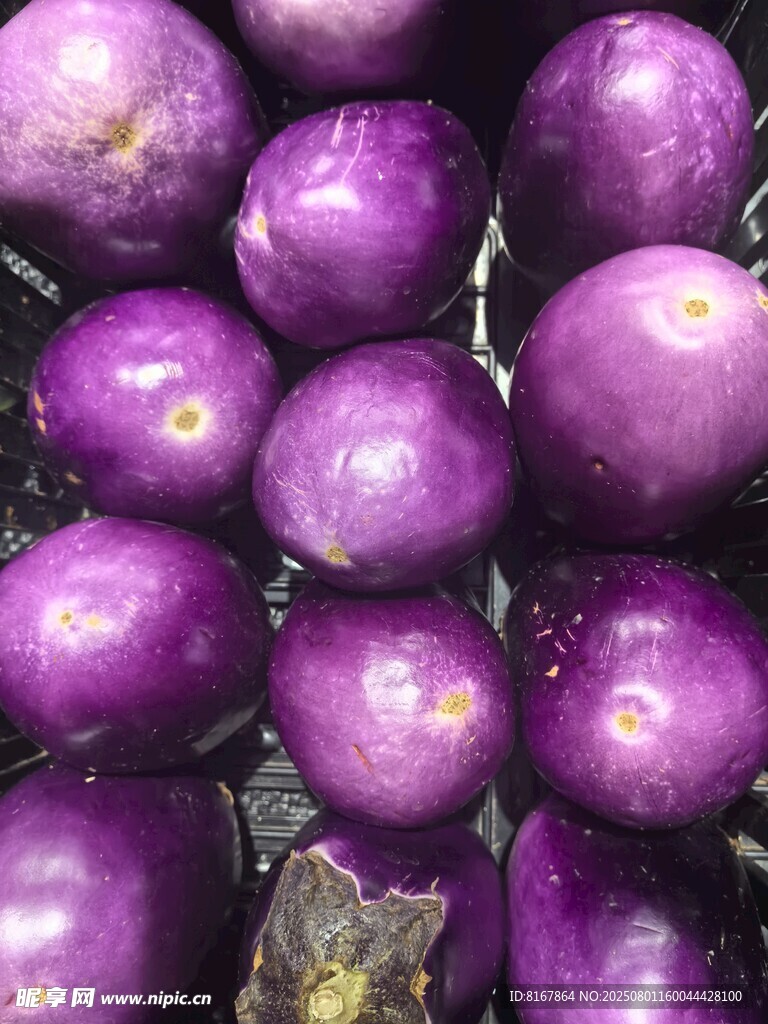 新鲜紫茄子堆叠
