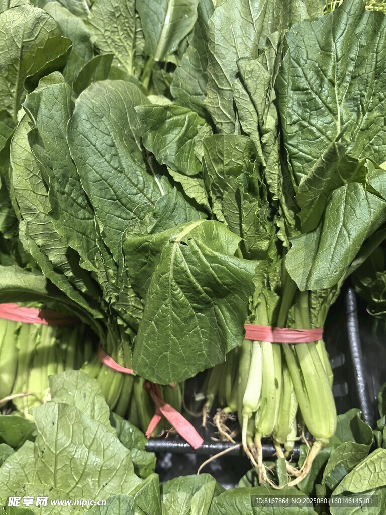 新鲜捆扎青菜