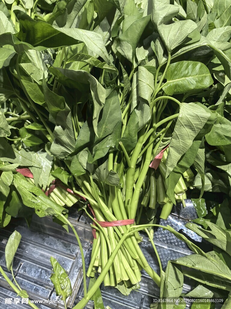 新鲜菠菜捆绑待售