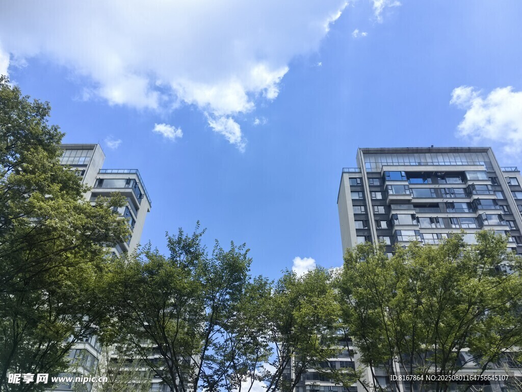 城市高楼与绿树蓝天