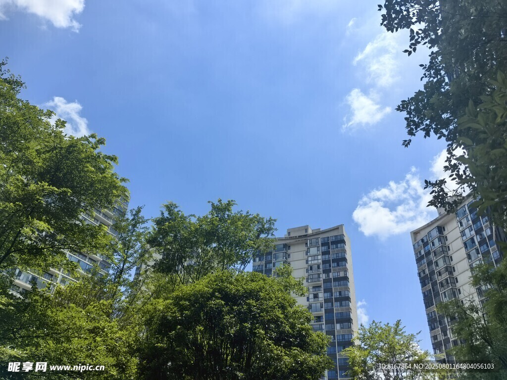 绿树掩映下的高楼