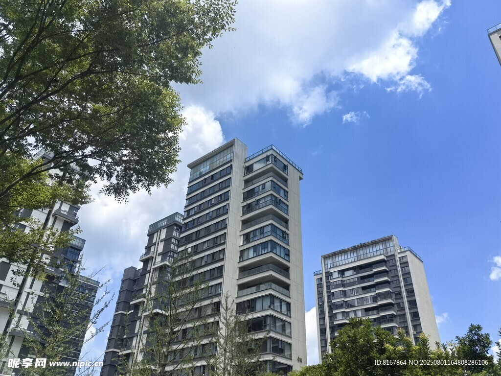 城市中高楼矗立绿树环绕