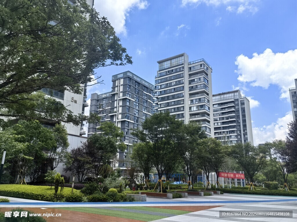 城市中的绿植与高楼景观