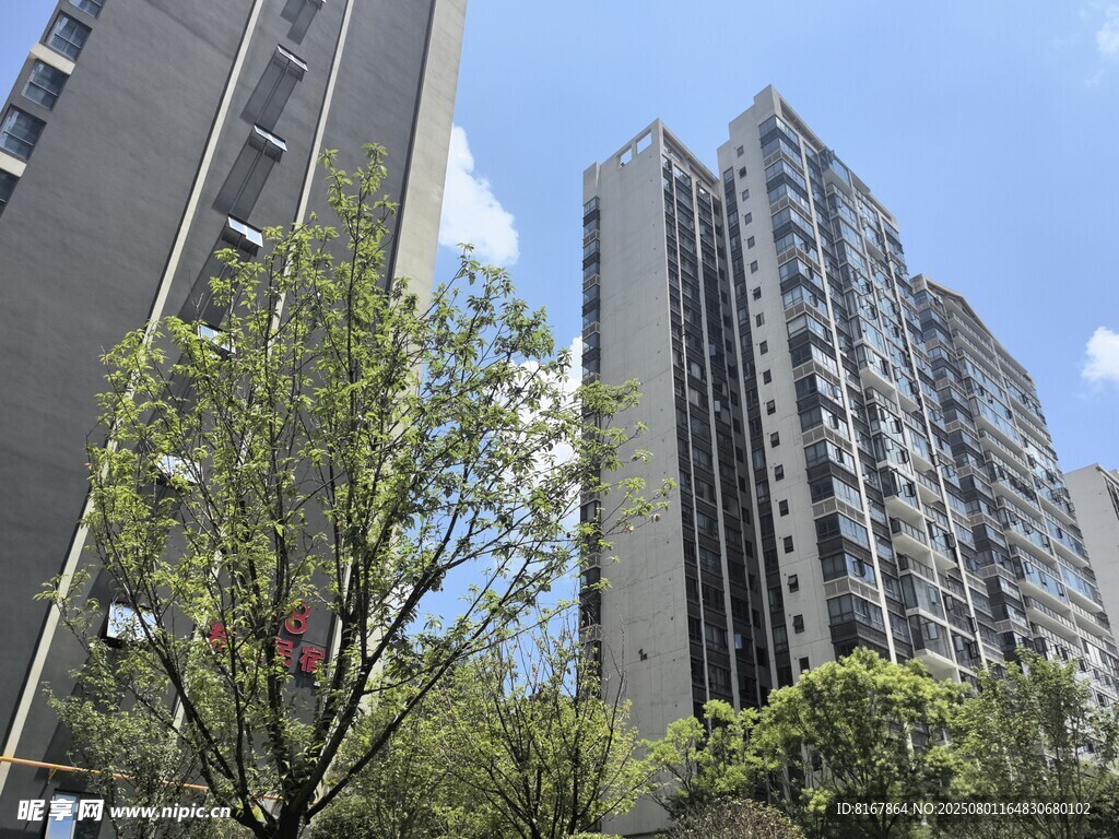 城市高楼与绿树景观