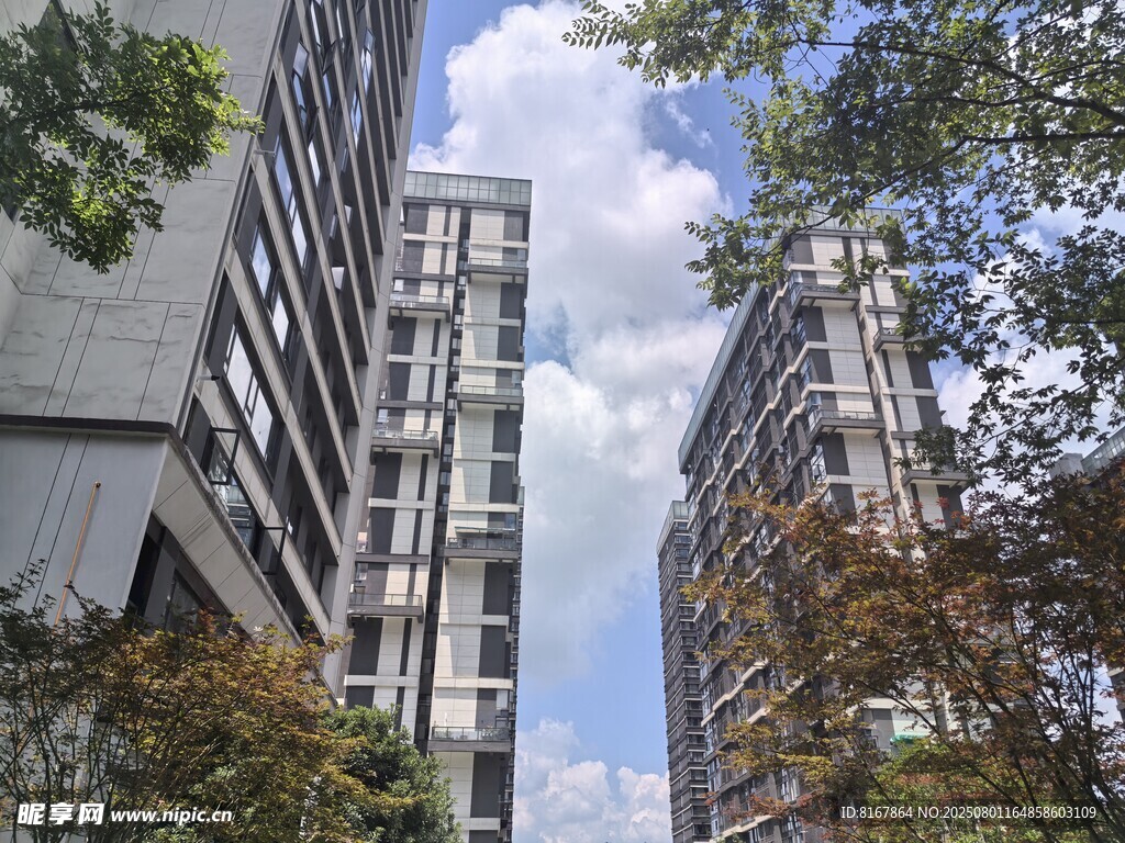 城市高楼与绿树相映成趣
