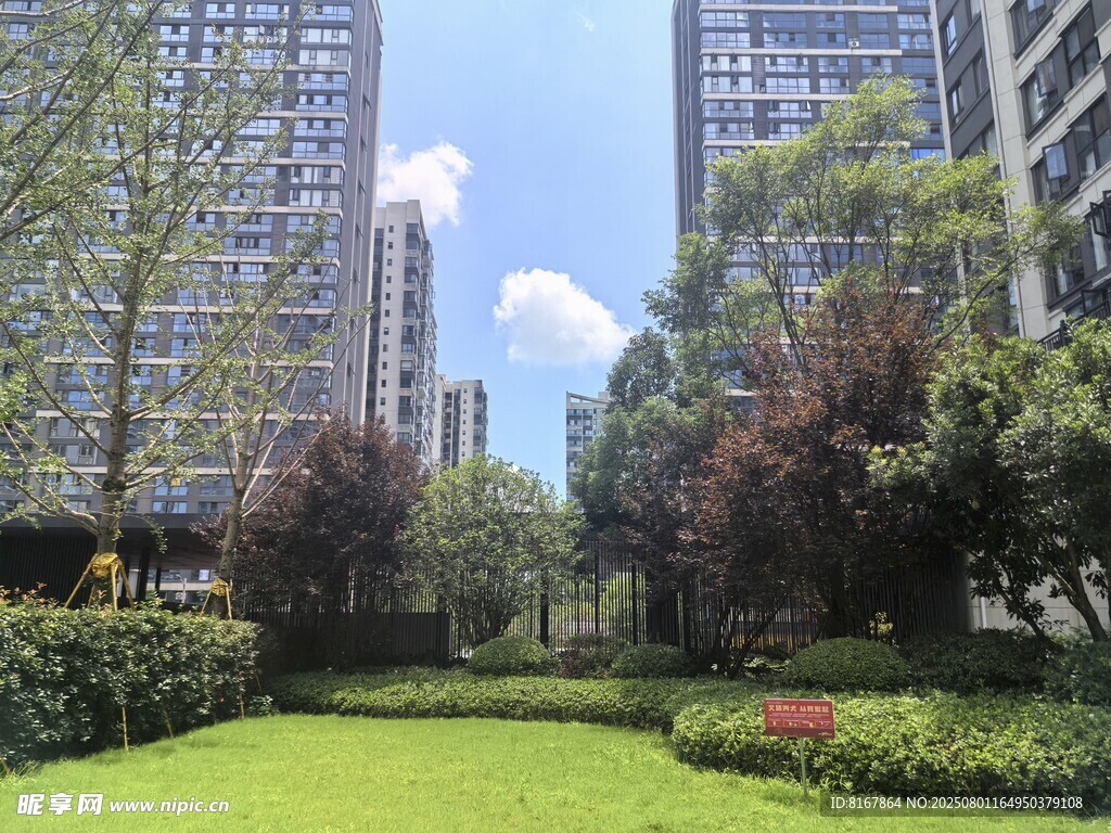 城市中的绿意花园景观