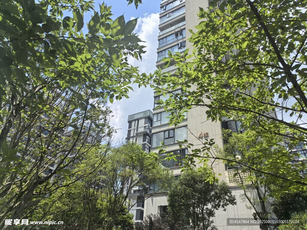 绿树环绕中的高楼住宅