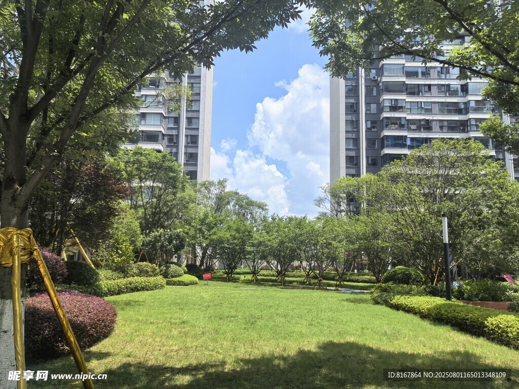 城市中的静谧绿意公园
