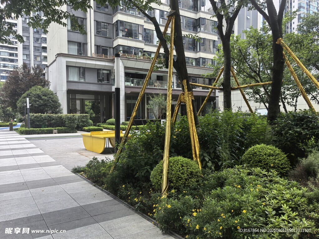 小区内的绿植与建筑景观