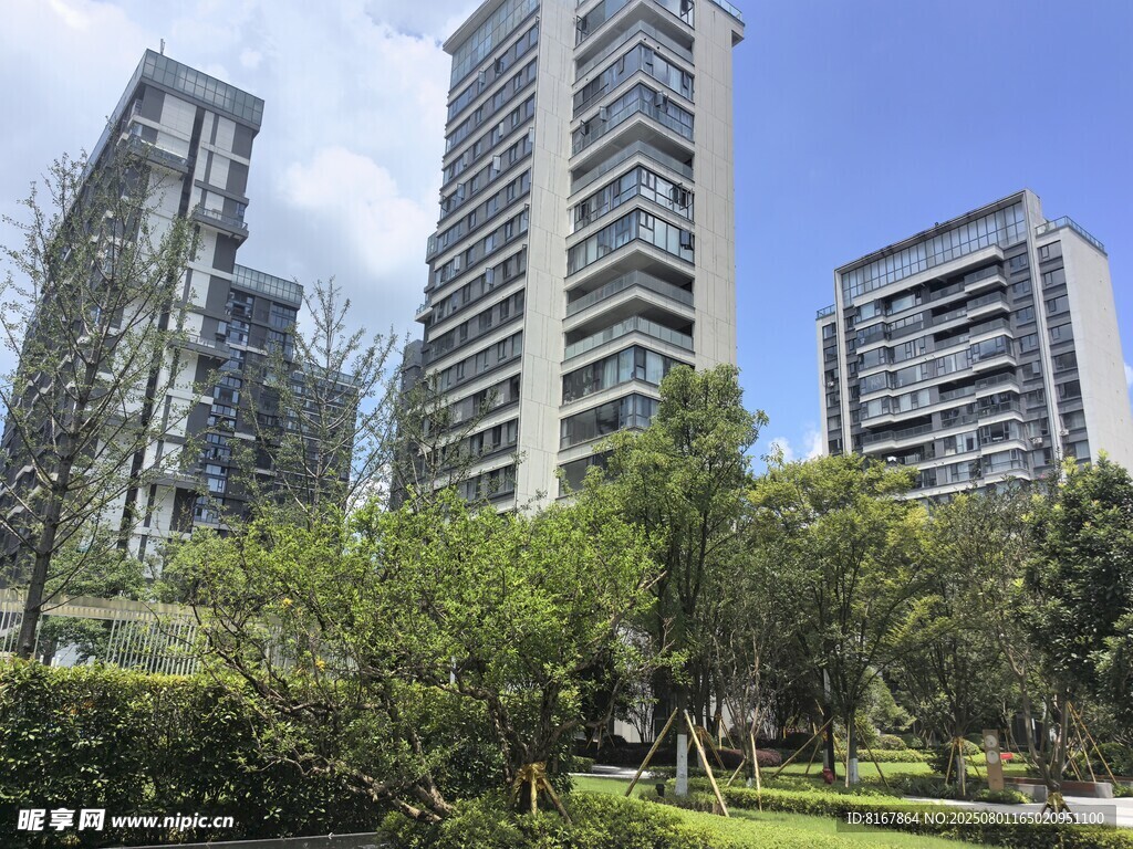 都市高楼旁的绿意景观