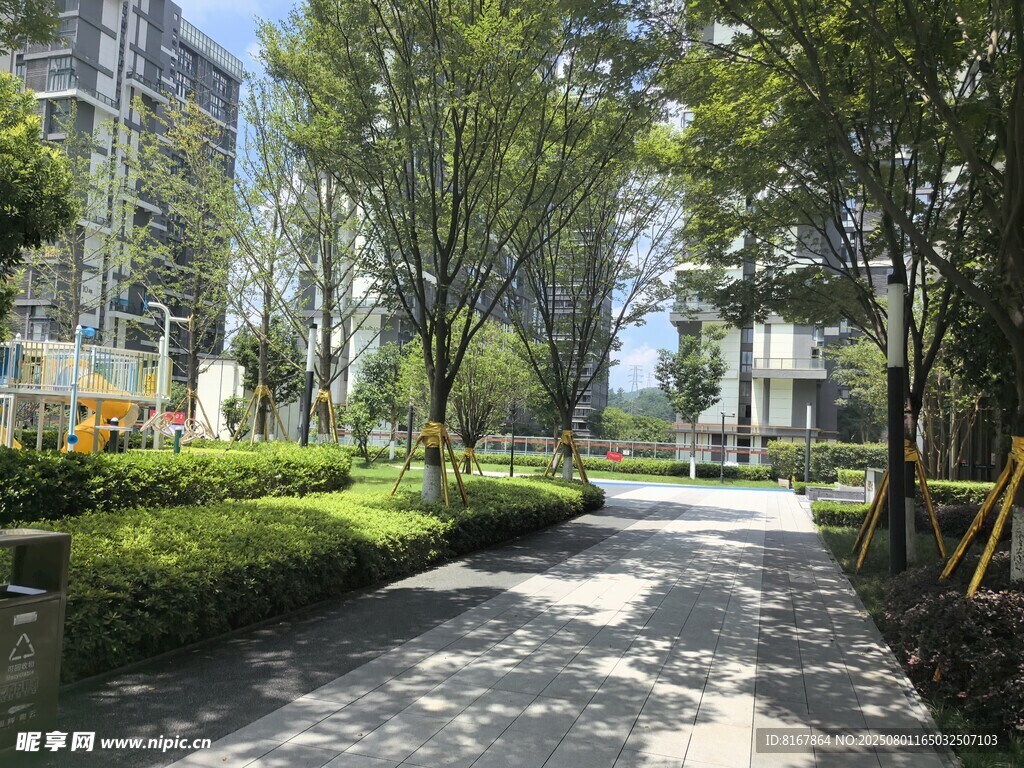 城市中静谧的林荫小道