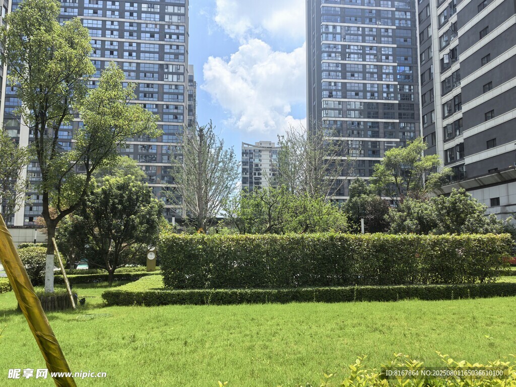 城市中的绿意草坪景观