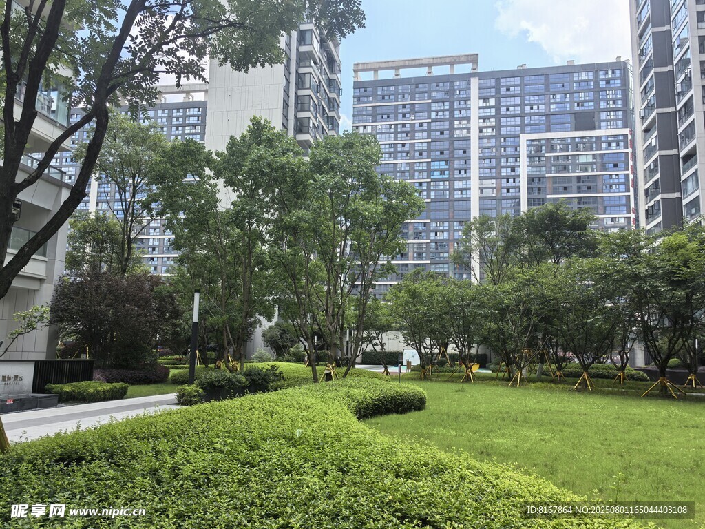 城市中的静谧绿化景观