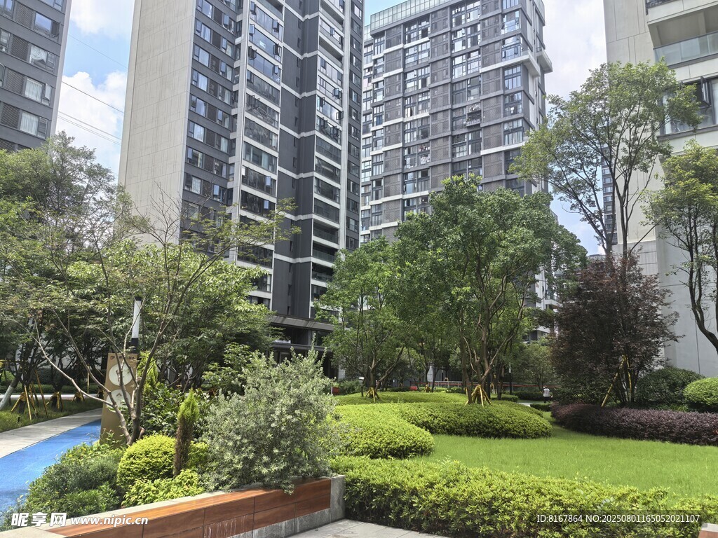 都市高层旁的绿意景观