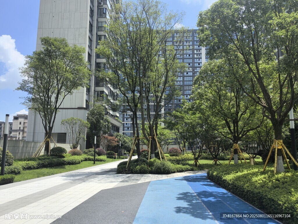 城市中的静谧绿化景观