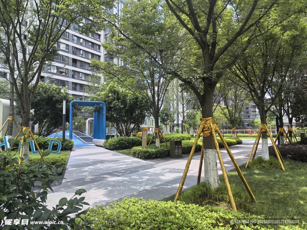 小区内的绿化景观一角