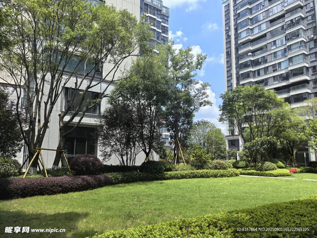 城市中的绿意草坪景观