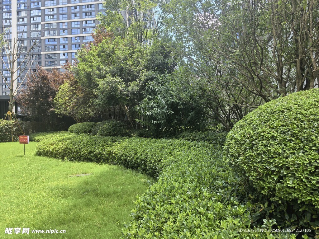城市中的绿意盎然景观