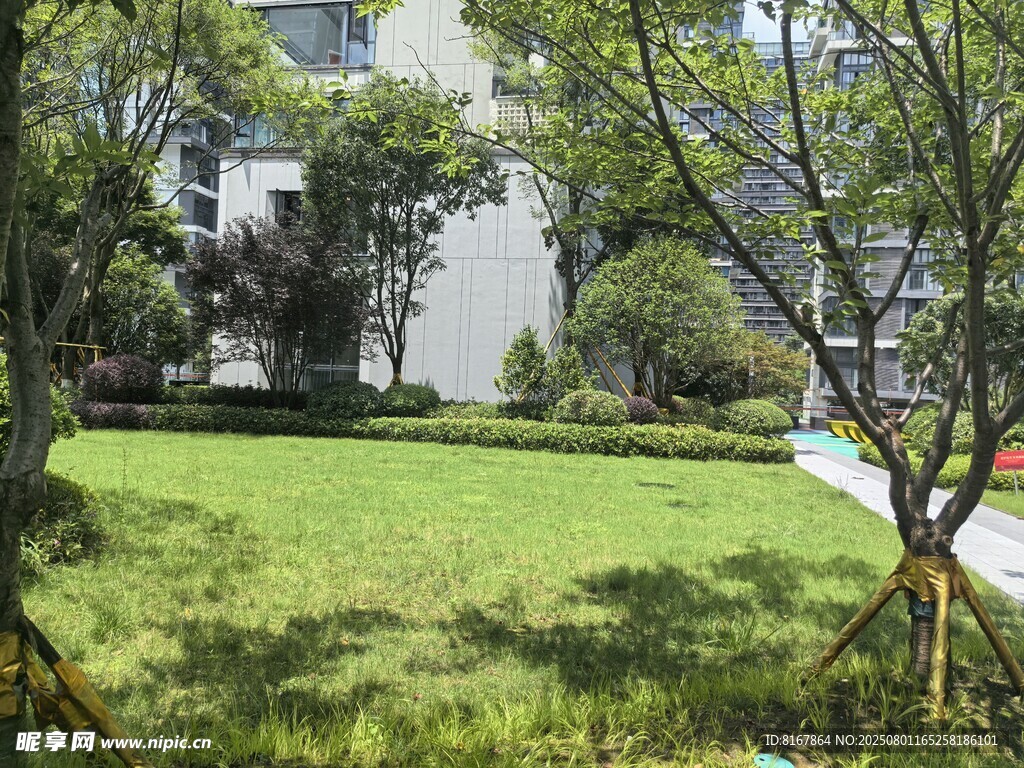小区内的绿意草坪景观
