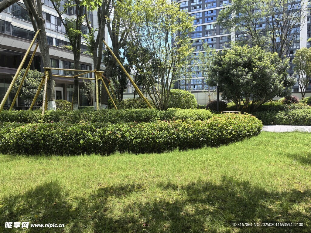城市中的绿意盎然景观